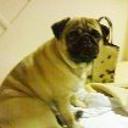 Fer chico