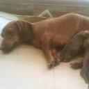 Nina y ainoa con su mama moa