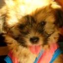 Missie