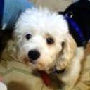 Zeus alejandro mendez