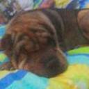 Lucy