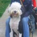 Patxi