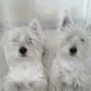 Gina y pinki