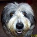 Facu