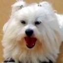 Rony