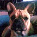 Torete