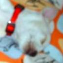 Maggy