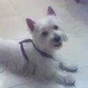 Pancho