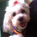 Princesa