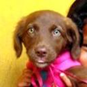Mocca