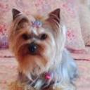 Vicky
