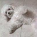 Cloe