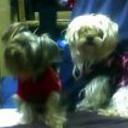 Tammy tu y pillin