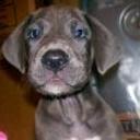 Denver