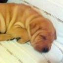 Shila