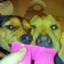 Nano y shila