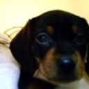 Romeo