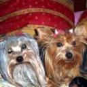 Keko y  tania