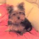 Lola