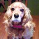 Almendra