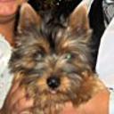 Princesa