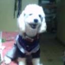 Zeus alejandro mendez