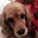 Almendra