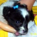 Tania