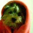 Panchita