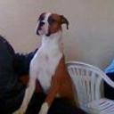 Fiona
