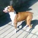 Fiona