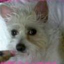 Lili