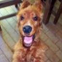 Leopoldo