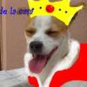 Chispita..!!