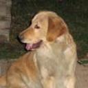 Lola