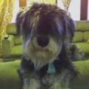 Chuito