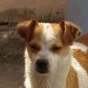 Chispita..!!