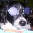 Loky jose