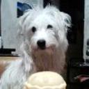 Pupi!!!!!
