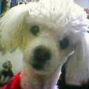 Brandy