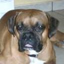 Tyson