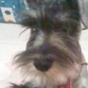 Panchito