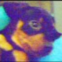 Romeo