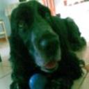 Blacky