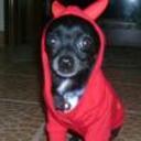 Sancho