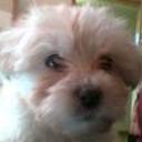 Yoly