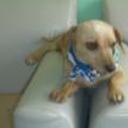 Jacobo