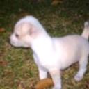 Maggy