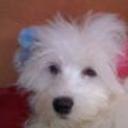 Princesa carolina alfonzo alarcon