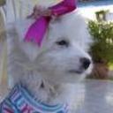 Princesa carolina alfonzo alarcon